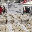 인형박스(삼호점) | [광명 코스트코] 2월 1주차 할인 &amp; 신상품 소개(+설선물세트, 구매 후기 등)