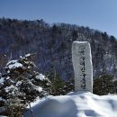 구룡령 옛길 이미지