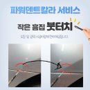 아이덴트칼라