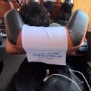 만세카 | 두 번째 사이판 여행 (1) 가라판 시내, 만세절벽, 사이판 별 보기 명소