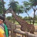 리버게임장 이미지