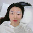 내추럴펭귄