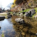 남산공원길1 이미지