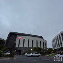 난타(오후) | [내돈내산] 제주도 호텔난타 레스토랑 후기 - 조식 뷔페, 옥돔구이와 성게미역국, 해물짬뽕 솔직후기