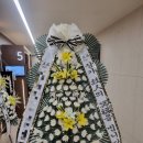플렌케