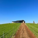 9425(구사이오) 이미지