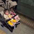 2011스케치 | [내돈내산] 연년생 둘째셋째 쌍둥이유모차 잉글레시나 뉴 트윈스케치 사용 후기