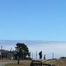 오로라 캣 이미지