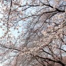 진해구 ⓒ-30 이미지