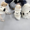 멍케어존 이미지