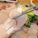 속초오징어시장 구의역직영점 | 대방어 맛집 속초오징어시장 구의역직영점