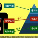 올래 이미지