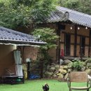 멍멍이와 숲속에서 이미지