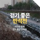 반석어린이공원 네이버블로그