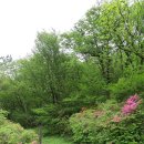 한치재주차장 이미지