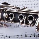 클라리넷 집중레슨 이미지