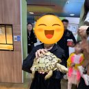 자연아놀자박물관 | [강릉] 비 오는 날 아이와 가볼 만한 곳! 강릉 자연아놀자 실내동물원 솔직 후기! 🌧️🐠🐢