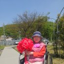 산책하는요양원 이미지