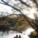 노아 | 제주스냅 - 노아스냅 촬영후기 (설레다, 더수트옴므, 이주희플라워)