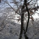구산제 이미지