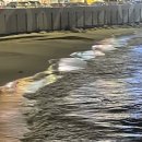 서씨횟집 이미지