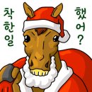 바디라이프 이미지