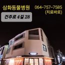 표선동물병원 이미지