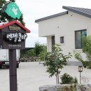 엔젤코바 네이버블로그