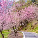 두메산골 농장 이미지