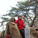 [부산] 엄광산(504m),수정산 산행후기---2025년 1월 25일(토)