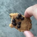 백고동카페