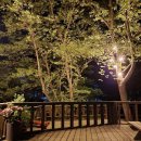 솔향기힐링펜션 이미지