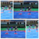 국가대표 TS 태권도장 이미지