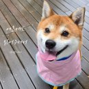 법인신선피엔에프