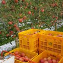 김현덕농장 이미지