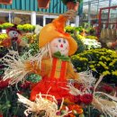 행렬농장 이미지