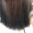 153헤어짱 이미지