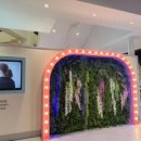 (주)이마트 킨텍스로점 이미지