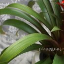 마이티농장 이미지