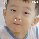 태 이미지