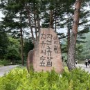 삼척활기자연휴양림 이미지