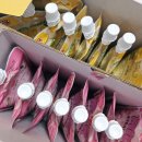 AL네트웍스 | 강아지 락토프리 우유 솔직 후기 : 슈퍼포우 펫밀크 바나나&딸기맛 내돈내산 리뷰