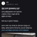 토끼 이미지