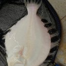 빅히트바다낚시터 이미지