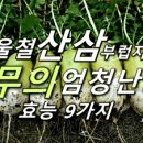 겨울철 산삼 부럽지 않은 무의 엄청난 효능 9가지 이미지