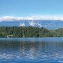 2019-주090 이미지