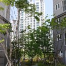 신당인덕3로-9 이미지