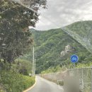 브룩스펜션 이미지