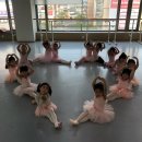 리나발레학원 이미지