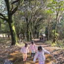 만물목장 | 제주 아이랑 숲놀이 체험 추천 초록숲지그리, 2주만에 또 간 사연